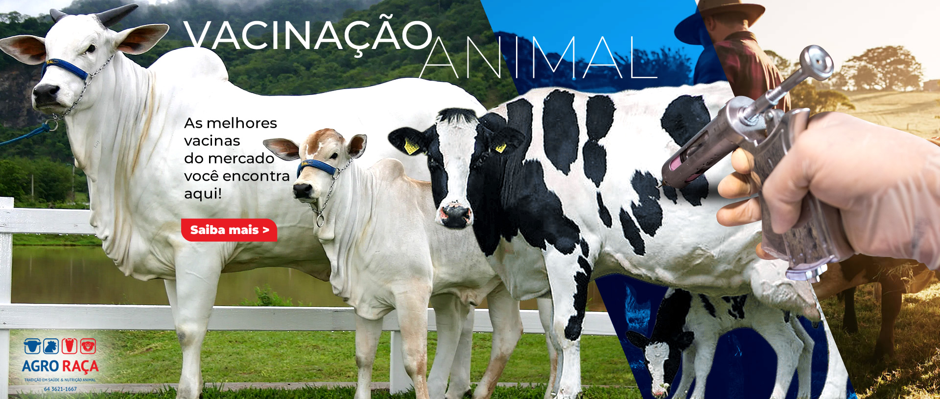 Home - Agro Raça